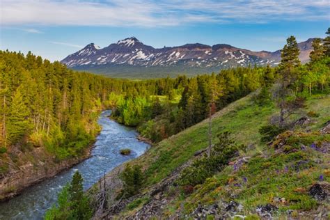 helena-lewis and clark national forest|helena lewis national forest guide.